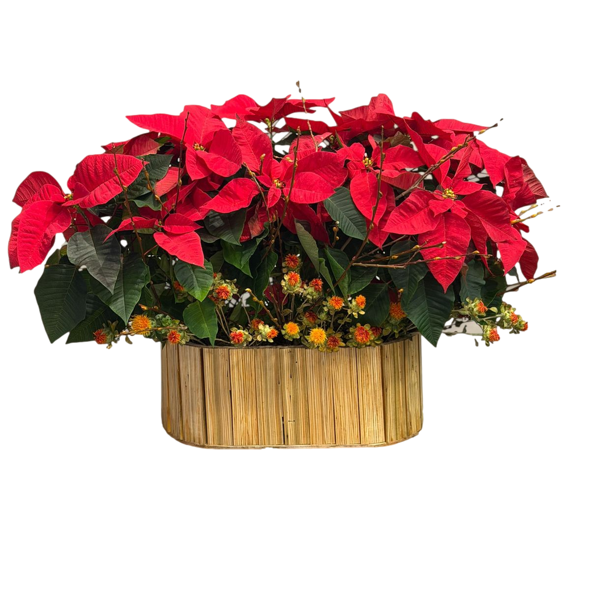 Red poinsettia holiday arrangement with green foliage and seasonal accents in a rectangular wooden basket on a black background