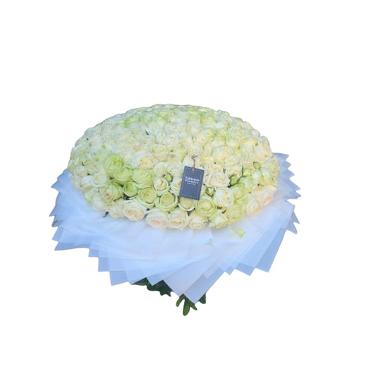 Large bouquet of 150 white-ivory roses, tightly arranged and wrapped in layered white paper, from Takkoush Flowers in Beirut, Lebanon