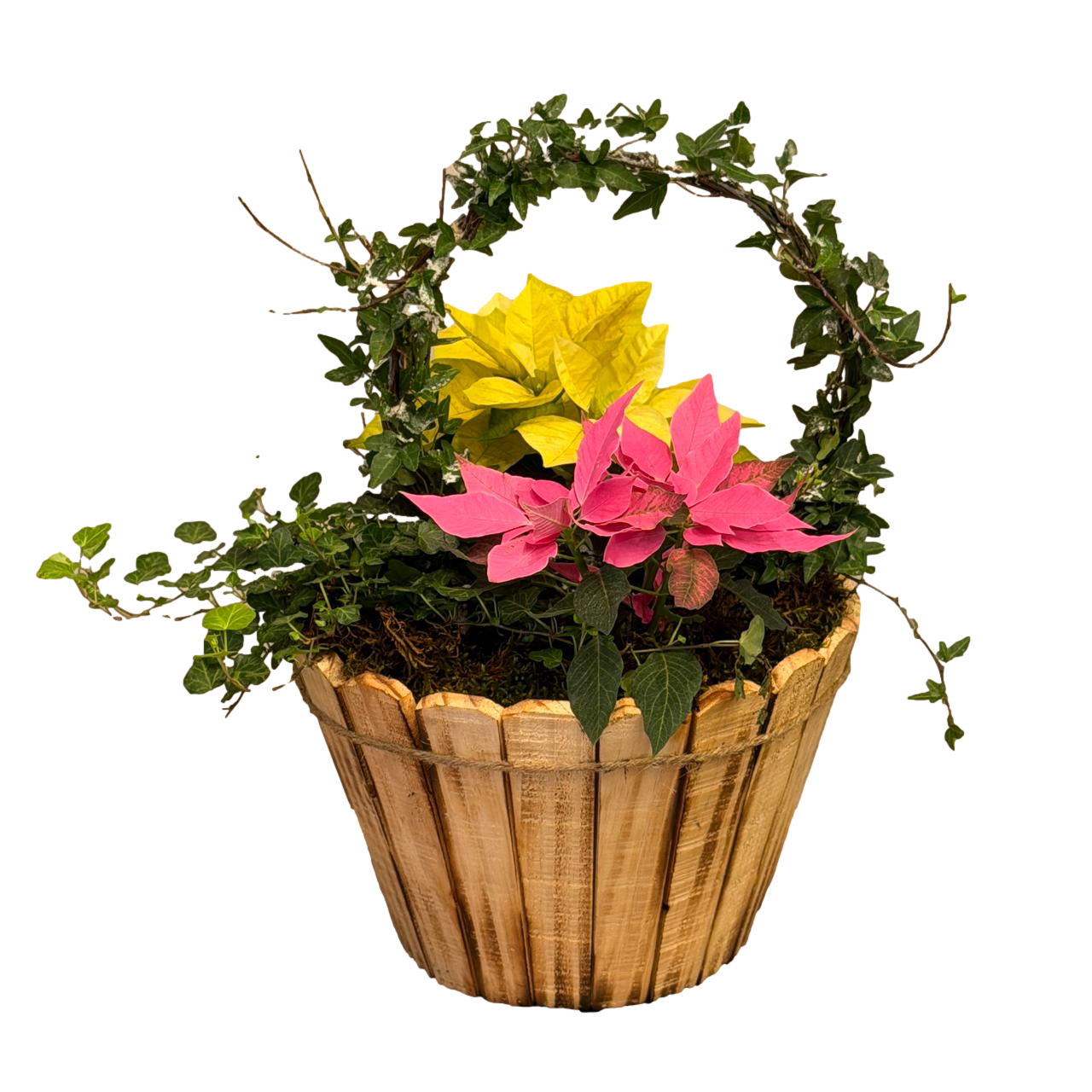 Pink and yellow poinsettia holiday arrangement with greenery in a wooden basket on a black background