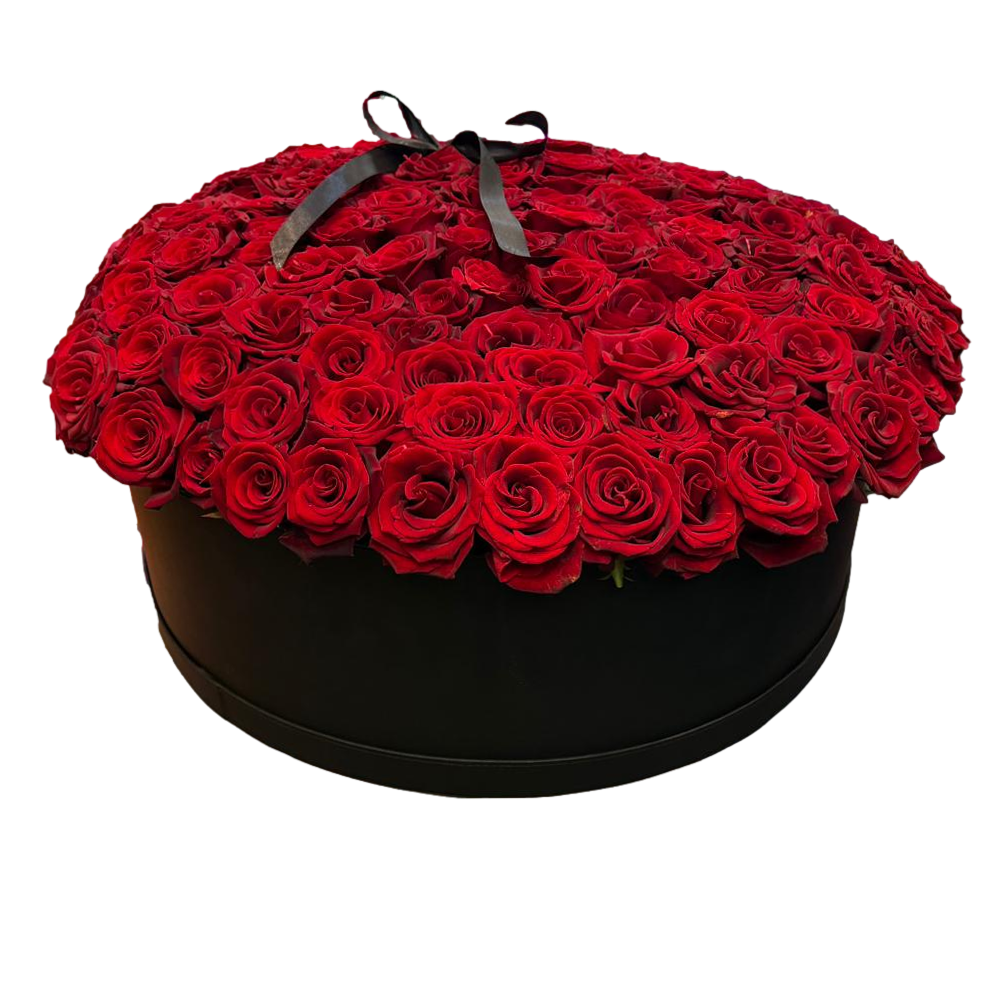 Black round box filled with red roses on a white background