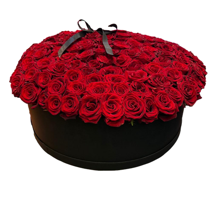 Black round box filled with red roses on a white background