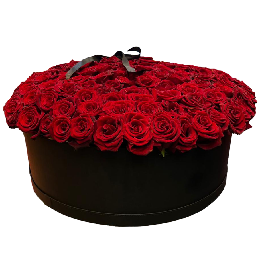 Black round box filled with red roses on a white background