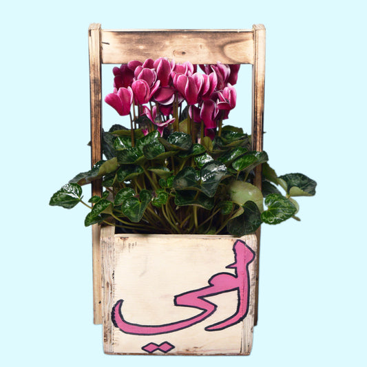 Cyclamen plant in rustic wooden box with Arabic "أمي" — unique Mother's Day plant gift with same-day delivery in Beirut Lebanon
