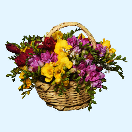 Fresh mixed freesia flower basket arrangement with baby's breath — fragrant Mother's Day and birthday gift with same-day delivery in Beirut Lebanon
