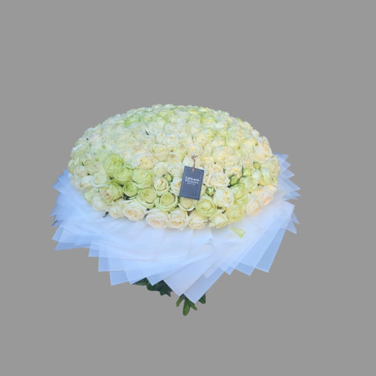 Large bouquet of 150 white-ivory roses, tightly arranged and wrapped in layered white paper, from Takkoush Flowers in Beirut, Lebanon