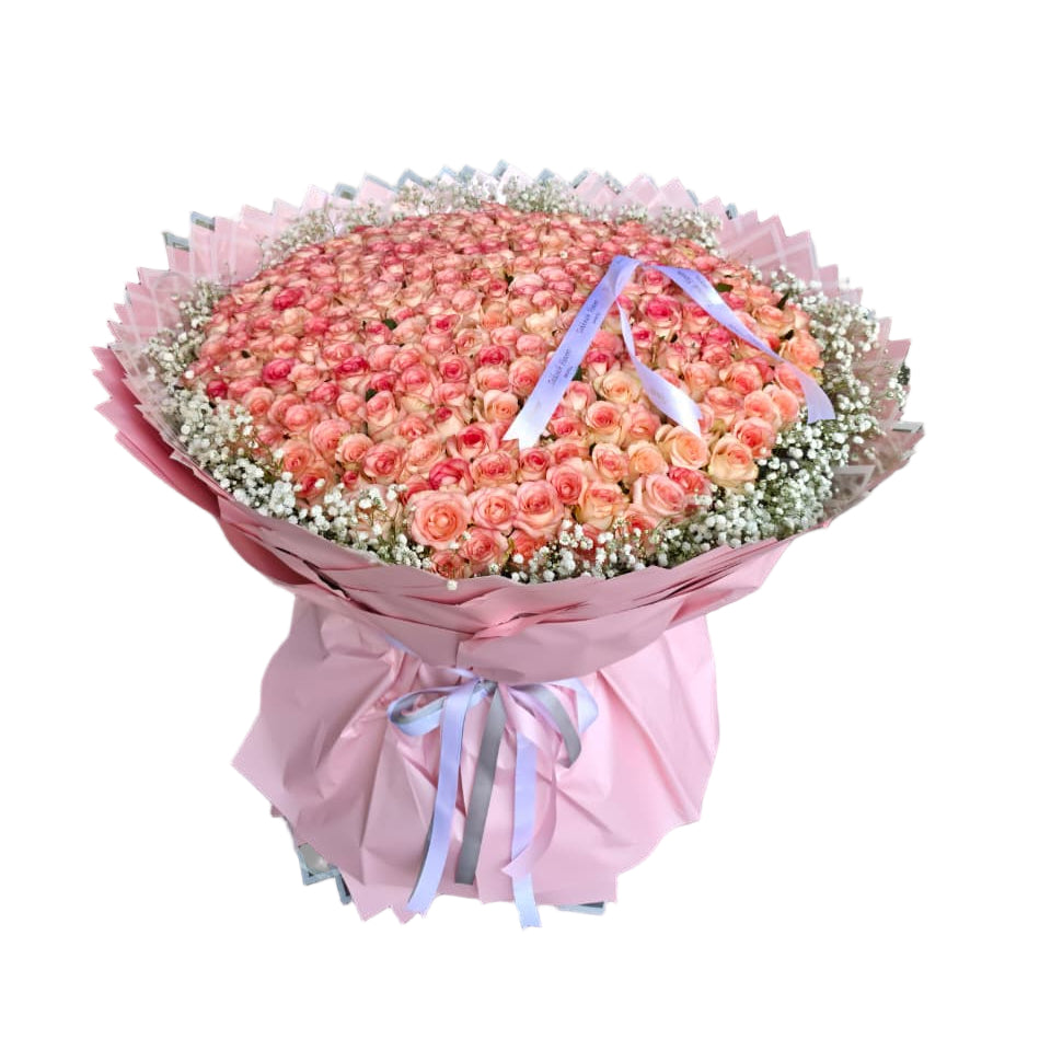 Giant bouquet of 300 pink-peach roses with baby’s breath, wrapped in blush paper and ribbons, from Takkoush Flowers in Beirut, Lebanon.