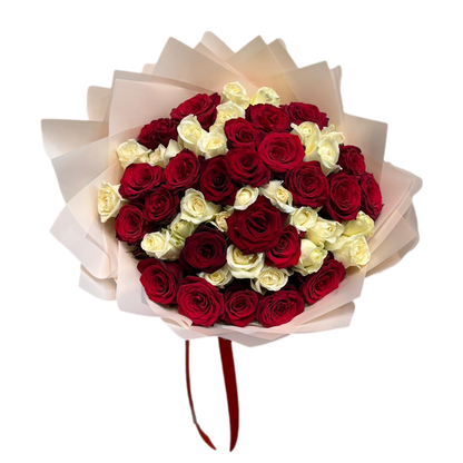 Elegant bouquet of 30 roses featuring an even mix of red and white blooms, wrapped in soft translucent layers, perfect for Valentine’s Day and romantic gifting