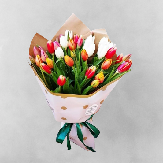 Celebrate the beauty of life with Tulip Trio - 30 Tulip Bouquet. This exquisite bouquet features ten red-yellow tulips, symbolizing joy and happiness, ten white tulips, representing purity and innocence, and ten red tulips, symbolizing love and passion. The combination of these three colors creates a stunning display of happiness, making it the perfect way to bring a smile to someone's face. Ideal for any occasion that calls for a touch of joy and romance, Tulip Trio is sure to make a lasting impression.