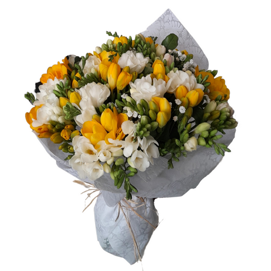 A stunning mix of white and yellow freesia flowers arranged in a beautiful bouquet, perfect for brightening up any space or gifting to someone special. These delicate blooms exude a sweet and refreshing fragrance that will enchant your senses. Order now and enjoy the natural beauty and elegance of freesia flowers in your home or office.
